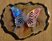 Butterfly picture in Clarksville, Tennessee