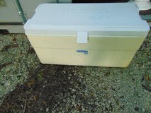 XL Thermos 104 Cooler in Oswego, Illinois