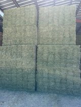 Alfalfa hay in Alamogordo, New Mexico