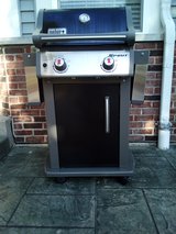 Weber Gas Grill in Aurora, Illinois