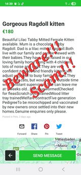People beware!!! This is a scam!!! in Ramstein, Germany