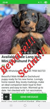 People beware!! This is a scam!! in Ramstein, Germany