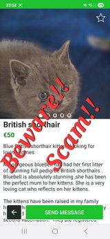 People beware, this is a scam!! in Ramstein, Germany