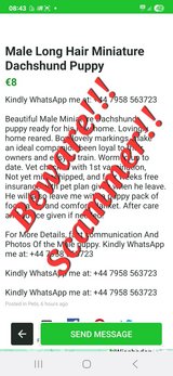 Beware scammer!! in Ramstein, Germany