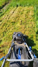 Mr smart lawn care services in Ramstein, Germany