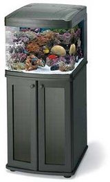 35gl BioCube fish tank with cabinet in Barstow, California