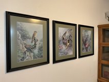 Set of three bird prints in Alamogordo, New Mexico