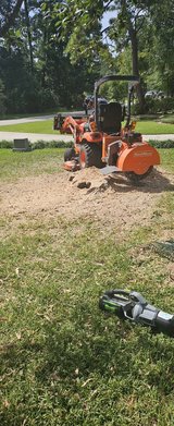 Stump grinding in Conroe, Texas