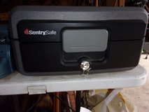 Sentry Safe in Perry, Georgia