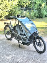 Cargo E Bike • Riese & Müller Load 60 Vario in Wiesbaden, GE