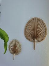 Plants, furniture, decor in Ramstein, Germany