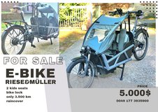 ??? The Perfect Family Car Replacement – Riese & Müller E-Cargo Bike! in Wiesbaden, GE