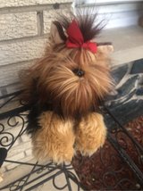 bearington “ Chewie “ Yorkshire terrier in Wheaton, Illinois