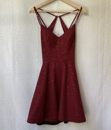 Homecoming Skater Fit & Flare Mini Dress in Joliet, Illinois