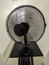 Table Fans in Wiesbaden, GE