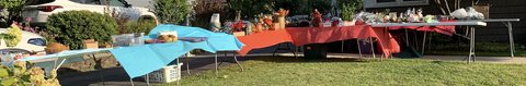 LEMONT - 1 DAY Pre-Sale 15+ FAM Garage Sale Fundraiser SAT 9/6 - 9a-3p in Joliet, Illinois