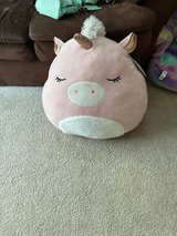 Nice Big Squishmallow in Aurora, Illinois