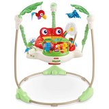FISHER PRICE RAINFOREST JUMPEROO in Oswego, Illinois