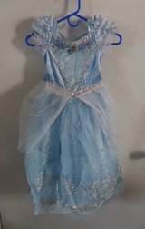 Disney Cinderella Costume in Houston, Texas