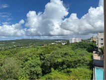 Everything Must Go in Okinawa, Japan