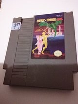 Castle of Dragon nes cartridge in Beaufort, South Carolina