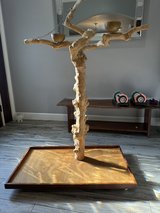Bird Tree Stand in Pasadena, Texas