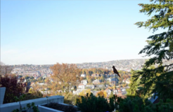 Apartment with beautiful view - close to city center and kelley barracks in Stuttgart, GE