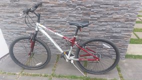 Vertical edge men's bike in Grafenwoehr, GE