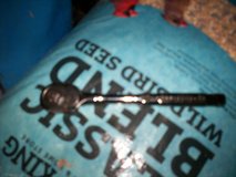 Craftsman 1/2 inch ratchet - gun metal in Spring, Texas