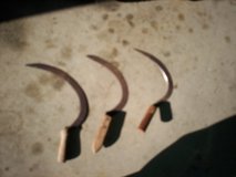 3 sickles in Spring, Texas