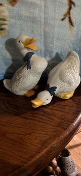 Vintage ducks in Fort Polk, Louisiana