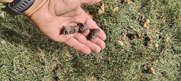 G&S Lopez lawn Care in Oswego, Illinois