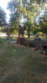 FREE FIREWOOD ?????? in Yorkville, Illinois