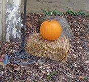 Cute mini straw bales in Yorkville, Illinois