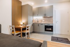 TLA TDY TLF 1BR Apartment in Ramstein with AC | incl. CAR in Ramstein, Germany