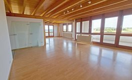 Spacious (2,314 sq ft), dog-friendly Top-Floor Apartment with Scenic Views in Steinenbronn (71144) in Stuttgart, GE