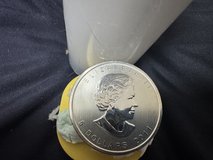 2011 Canada 5 Dollars - 1 Oz. Silver Maple Leaf Estate Coin Collection 1 roll 20 coins in Okinawa, Japan