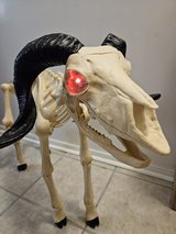 Halloween ram skeleton decoration in Fort Rucker, Alabama