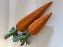 Decorative Carrots in Aurora, Illinois