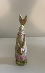 Ms. Rabbit in Aurora, Illinois