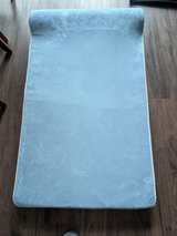 Orthopedic dog pad in Plainfield, Illinois