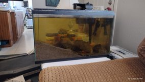 Aquarium, fish tank in Alamogordo, New Mexico