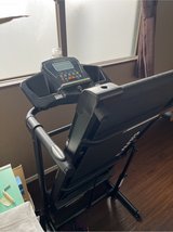 Alinco Treadmill in Okinawa, Japan
