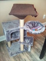 cat tower in Plainfield, Illinois