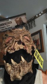 Halloween Mask in Plainfield, Illinois
