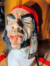 Halloween Mask in Plainfield, Illinois