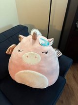 Big squishmallow in Aurora, Illinois