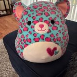 Medium squishmallow in Aurora, Illinois