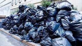 TRASH  & JUNK HAULING / CLEANING & LOCAL MOVING SERVICES / YARD & GARDEN WORK / PAINTING / ETC, in Wiesbaden, GE