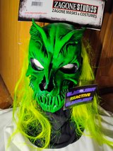 Halloween mask in Plainfield, Illinois
